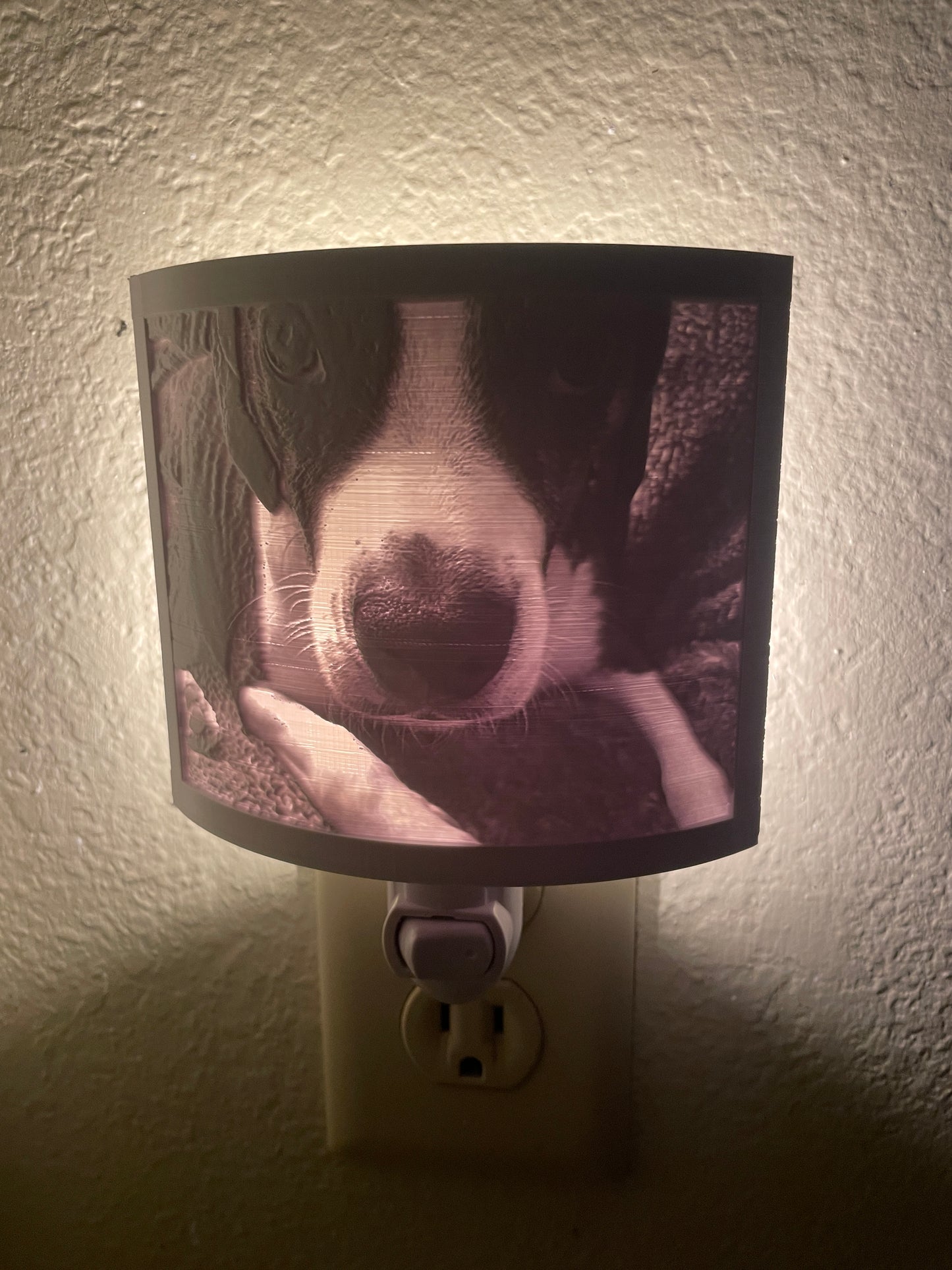 Lithopane - CUSTOM ORDER - Night Light