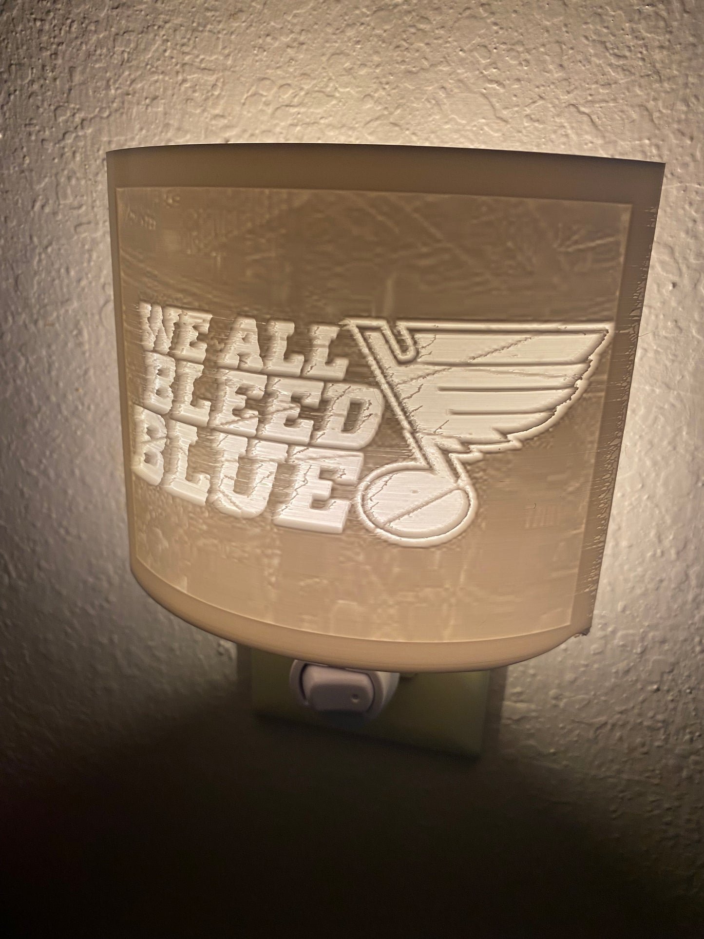 Lithopane - CUSTOM ORDER - Night Light